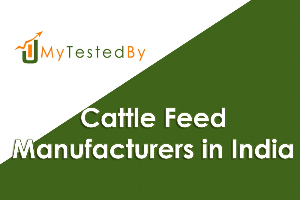 Cattle Feed Manufacturers in India